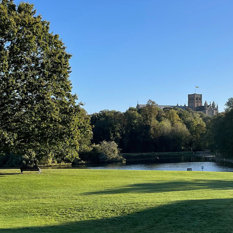 St Albans famous cathedral view from the park